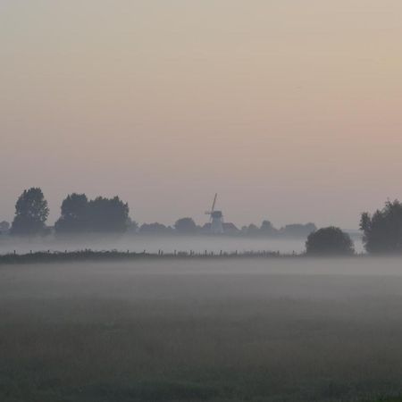 Oversteekhof Roesbrugge-Haringe 외부 사진